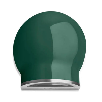 DeliVita Emerald Fire Wood Fired Pizza Oven   